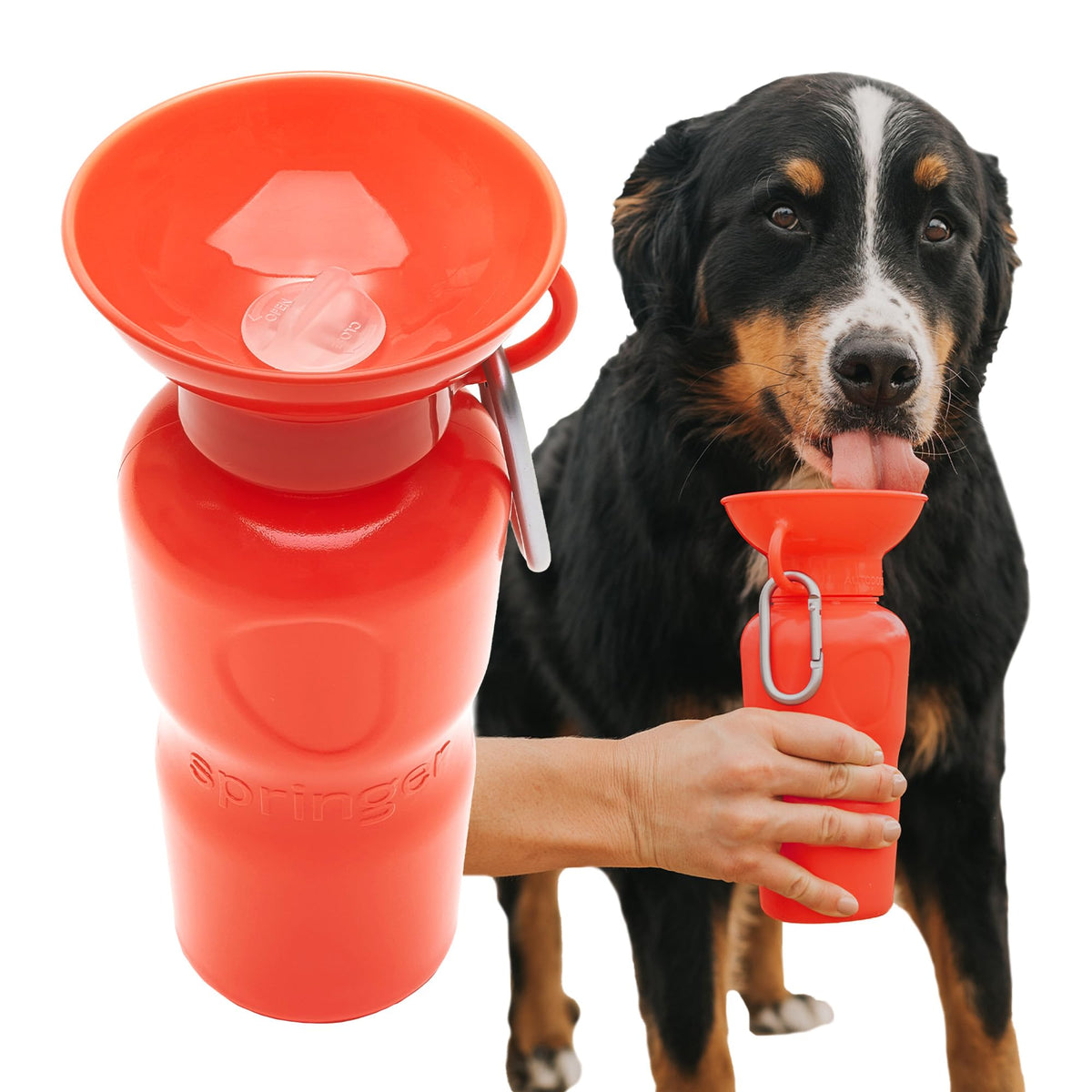 Springland 22oz Classic Portable Dog Water Bottle with Built-in Bowl,Indigo