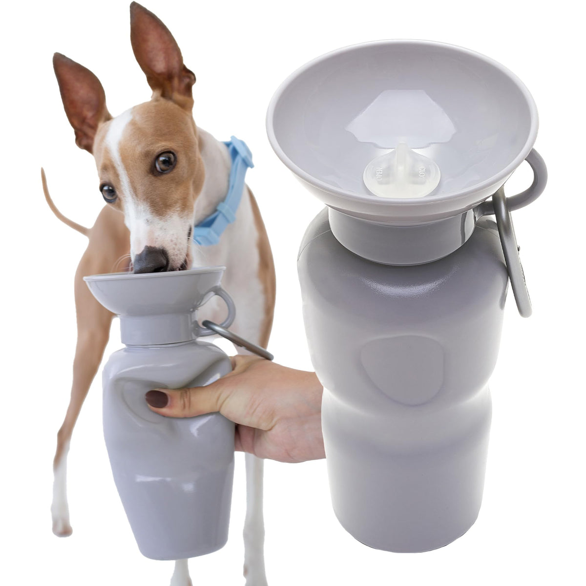 Springland 22oz Classic Portable Dog Water Bottle with Built-in Bowl,Indigo