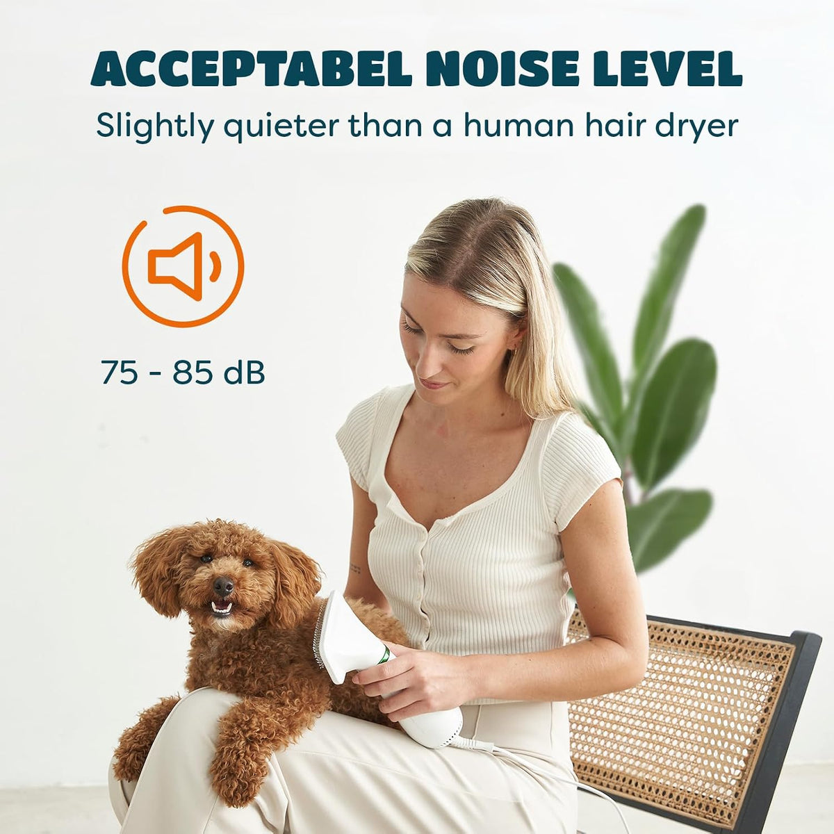 2-in-1 Dog Hair Dryer with Brush for Small Dogs and Cats, Pet Blow Dryer