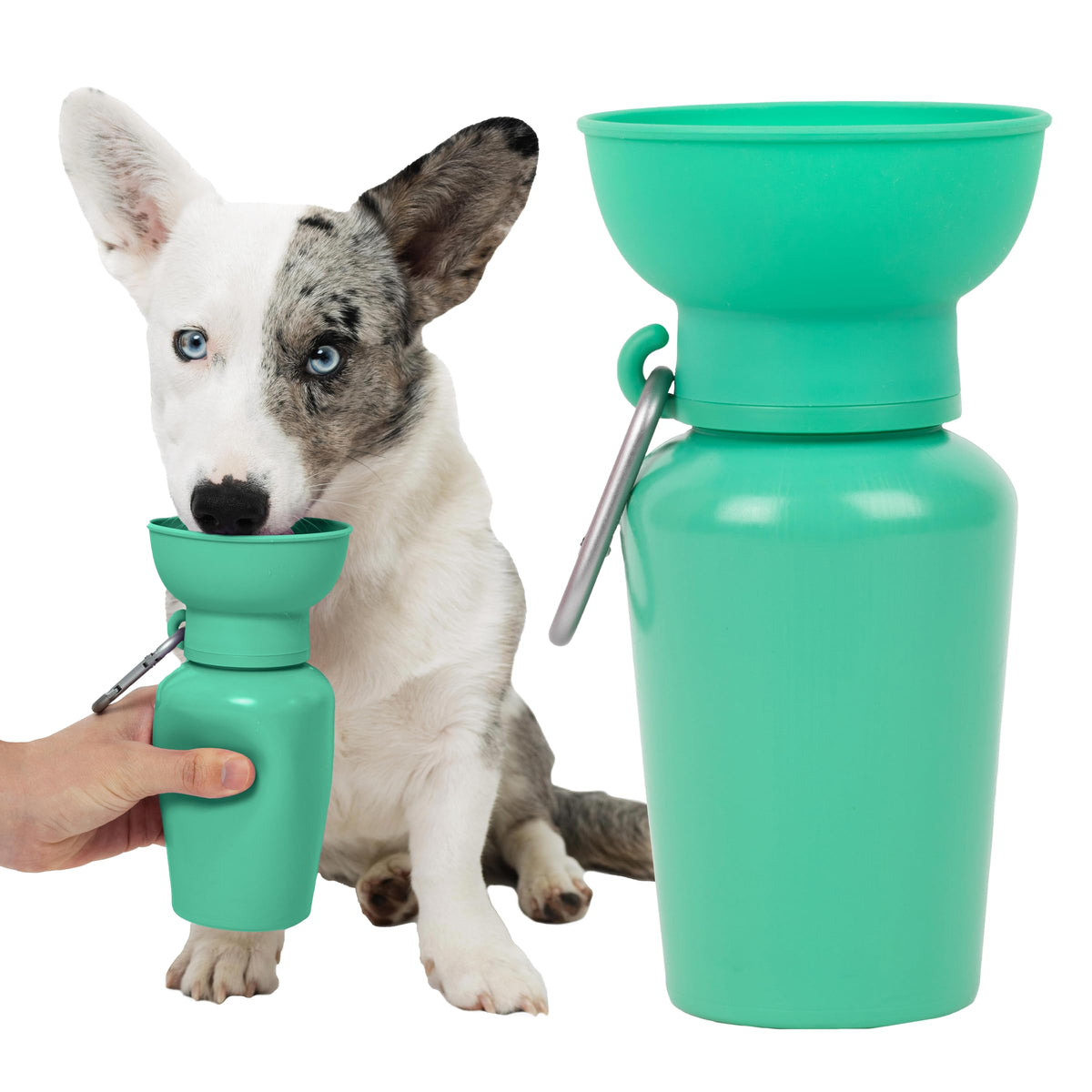 Springland 22oz Classic Portable Dog Water Bottle with Built-in Bowl,Indigo