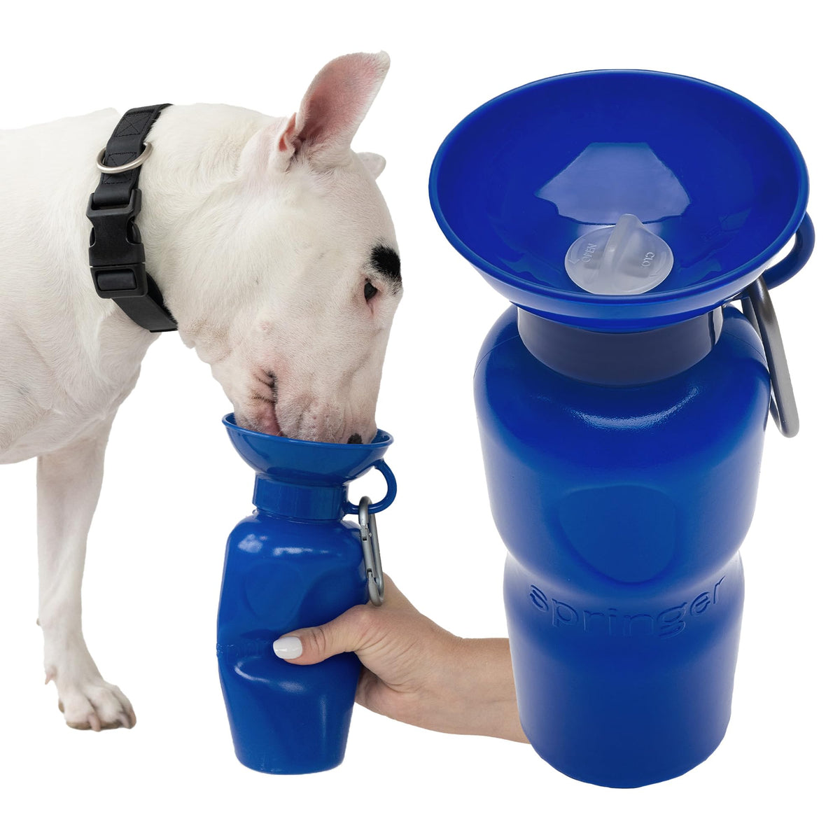 Springland 22oz Classic Portable Dog Water Bottle with Built-in Bowl,Indigo