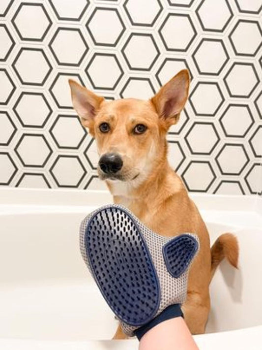 Four Paws Love Glove Dog Grooming Mitt