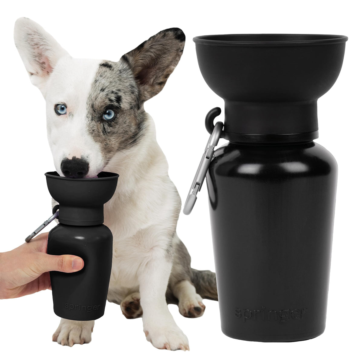 Springland 22oz Classic Portable Dog Water Bottle with Built-in Bowl,Indigo