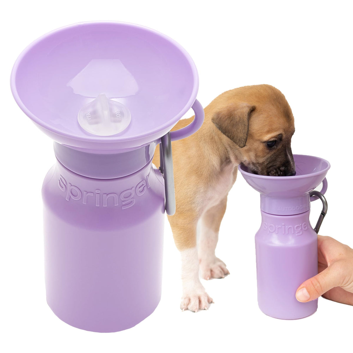 Springland 22oz Classic Portable Dog Water Bottle with Built-in Bowl,Indigo