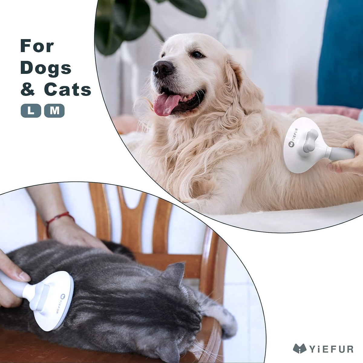 Cat Brush for Shedding, Self Cleaning Brush for Long & Short Hair Cats