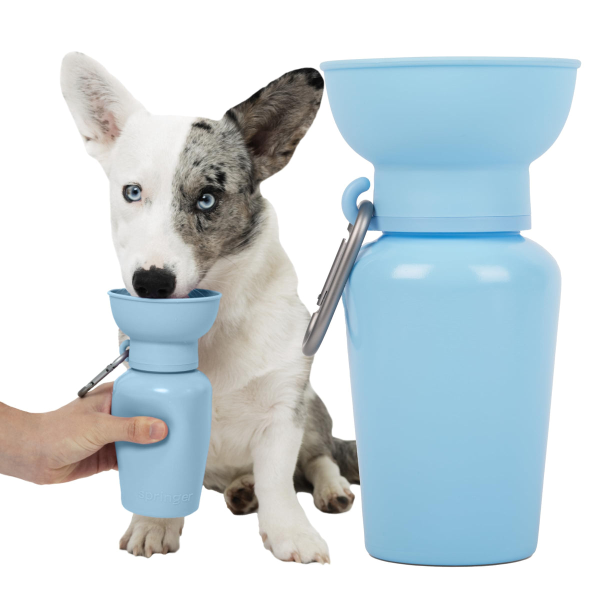 Springland 22oz Classic Portable Dog Water Bottle with Built-in Bowl,Indigo
