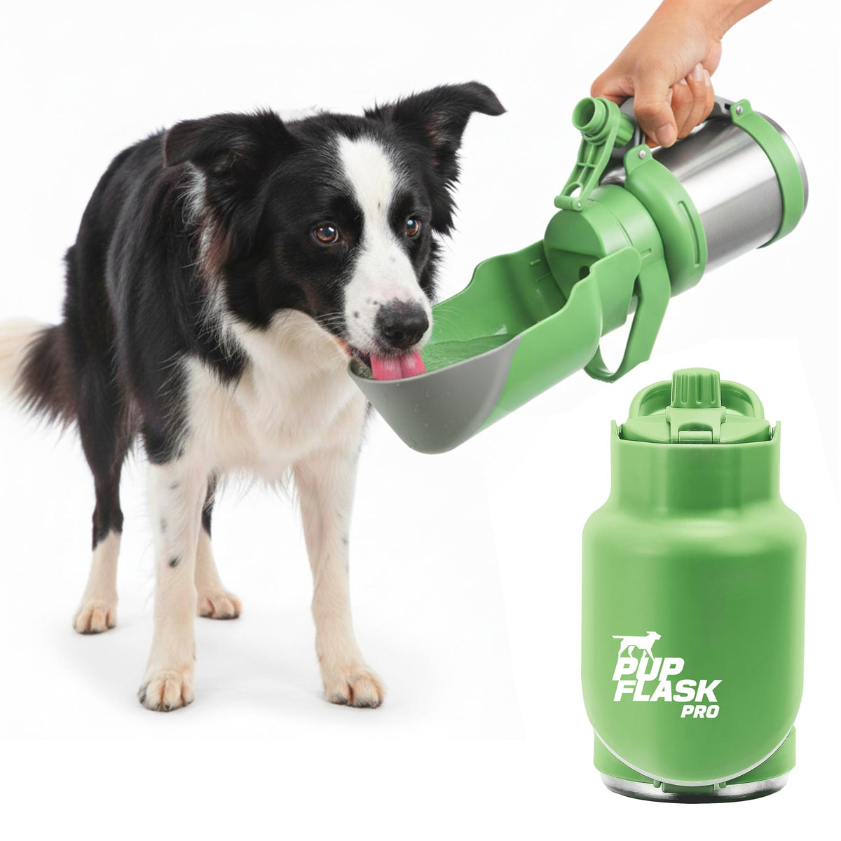 PupFlask Pro Portable Insulated Dog Water Bottle, Stainless Steel Bowl