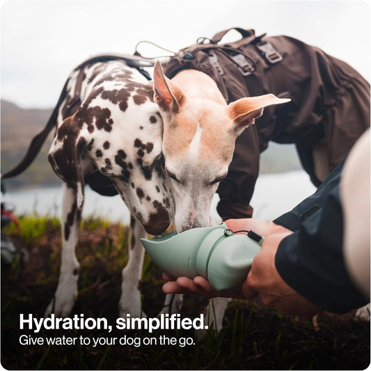 SÄKER Portable Dog Water Bottle, Collapsible Water Bottle for Dogs Perfect for Walking, Hiking and Outdoors | Works as a Portable Water Bowl | Designed in Montreal - 750ml